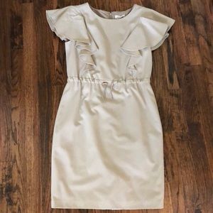 Perfect Fall Transition Calvin Klein Dress